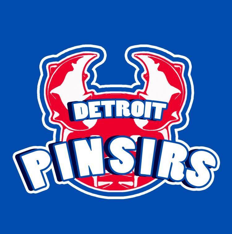 Detroit Pistons Pokemon logo iron on transfers